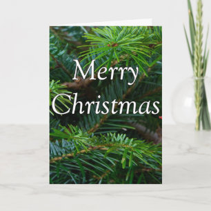 Christ is Immanuel Christmas Isaiah 7-14 Holiday Card