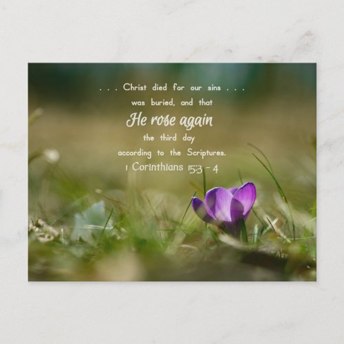 Christ Rose Again Crocus Postcard