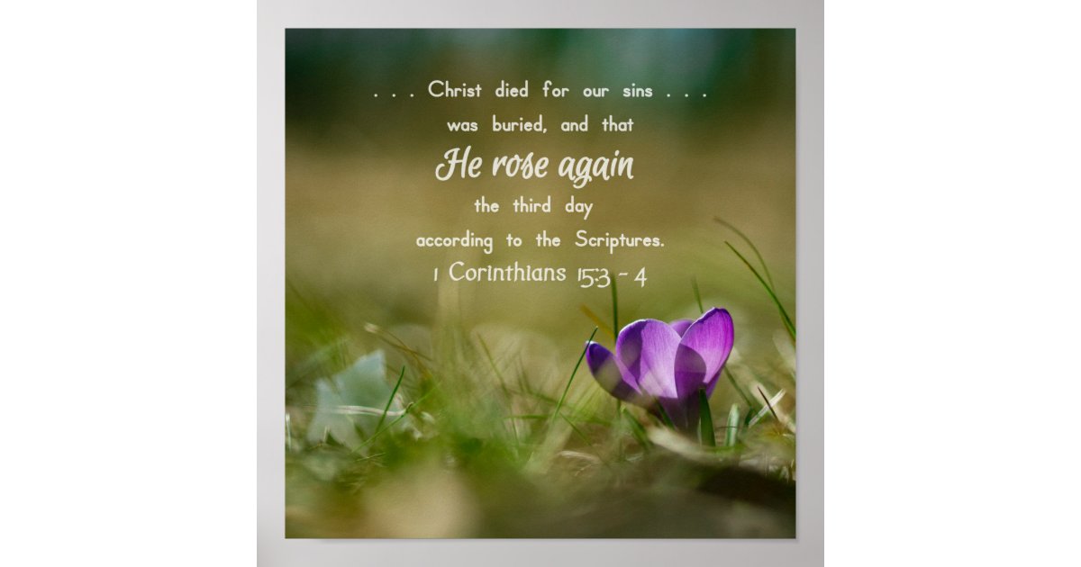 Christ Rose Again Crocus Poster | Zazzle