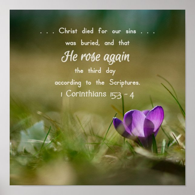 Christ Rose Again Crocus Poster (Front)