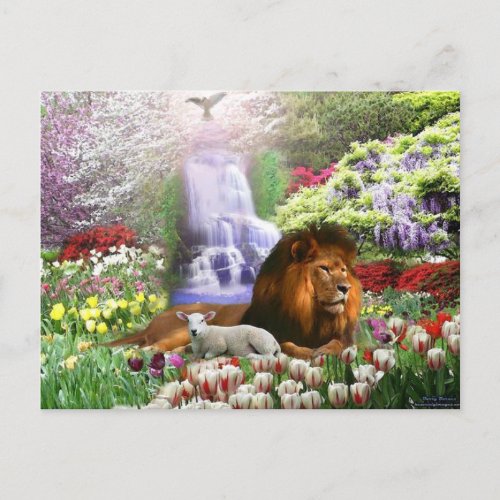 Christ the Lamb of God Postcard