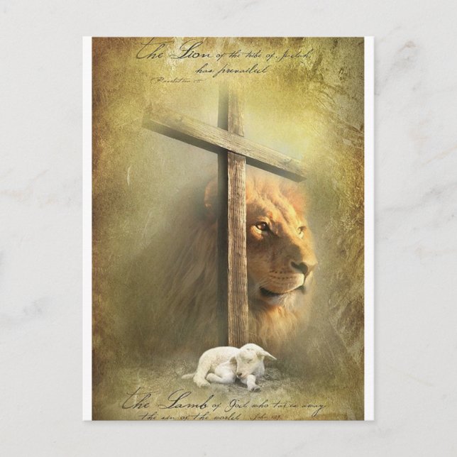 Christ The Lion of Judah Postcard (Front)