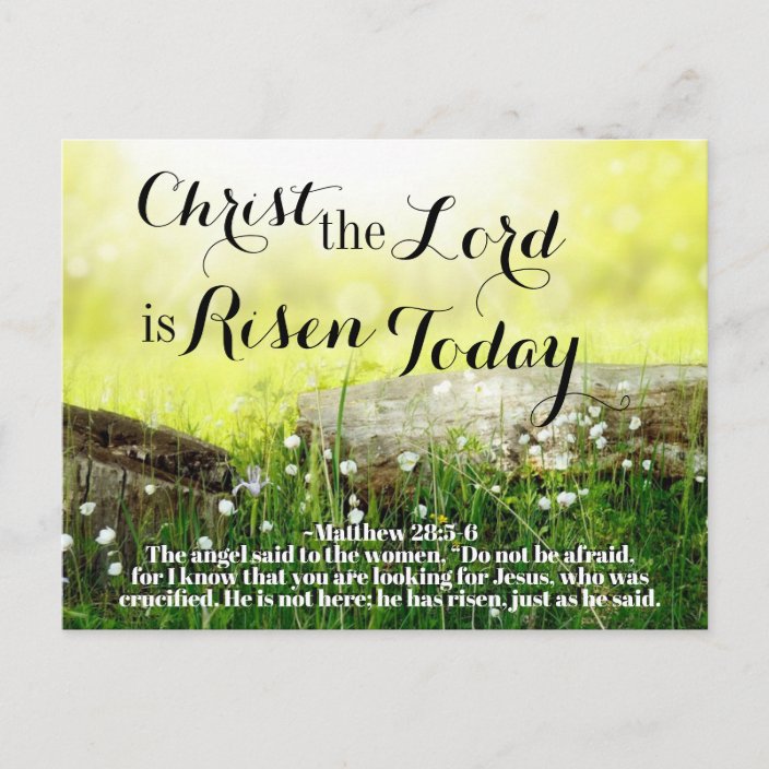 Christ The Lord Is Risen Today Matthew 28 5 Easter Holiday Postcard Zazzle Com