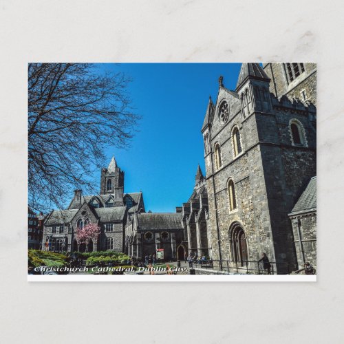 Christchurch Cathedral Dublin Ireland Postcard