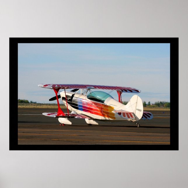 Christen Eagle II Poster (Front)