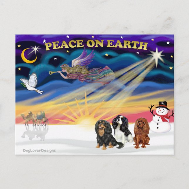 Christgmas Sunrise - Cavalier King Charles (three) Postcard (Front)