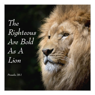Christian Art - Lion - Proverbs 28:1 Photo Print