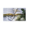 Christian Bible Business Card-See back