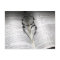 Christian bible love heart inspirational religious