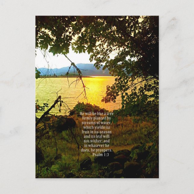 Christian Bible Verse Lake Landscape Creationarts Postcard (Front)