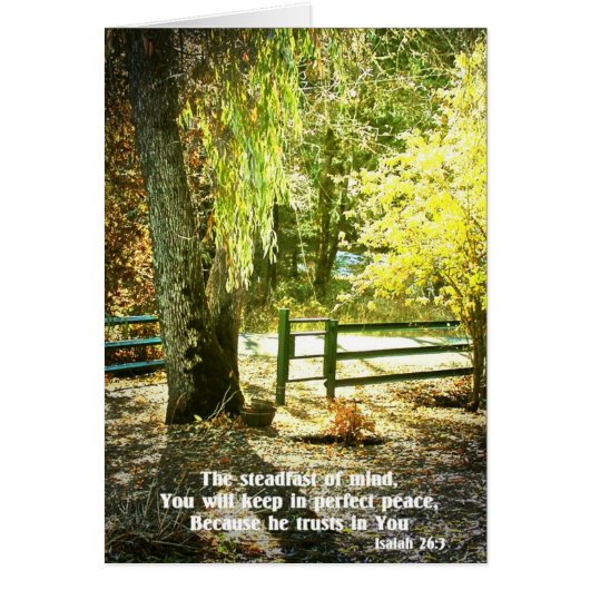 Christian Bible Verse Scripture Creationarts Cards (Front)