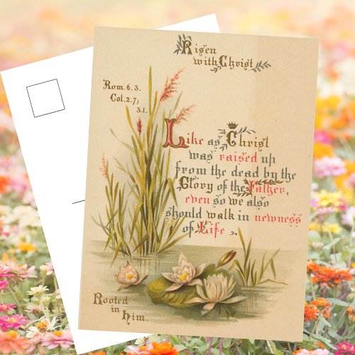 Christian Catholic Bible Christ is Risen Easter Holiday Postcard