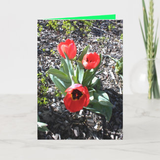 Christian Christmas card for bereaved person.