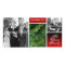 Christian Christmas Photo Cards Holiday Pictures