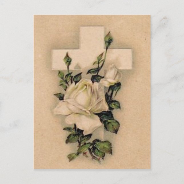 Christian Cross White Rose Postcard (Front)
