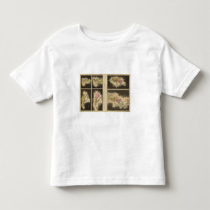 Christian era 1921 toddler t-shirt