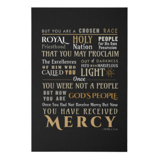 Christian Faith 1 Peter 2:9-10 You Are Chosen Canv Faux Canvas Print