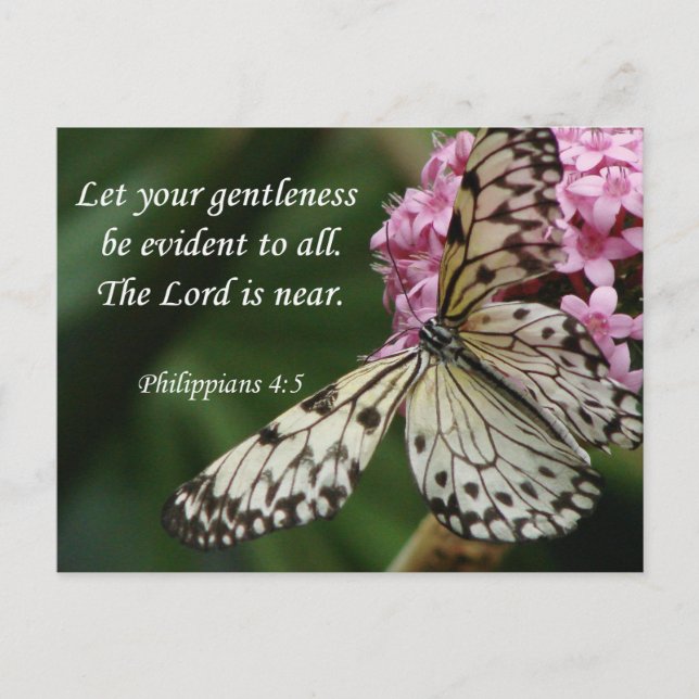 Christian Faith Art ~ Philippians 4:5 Postcard (Front)