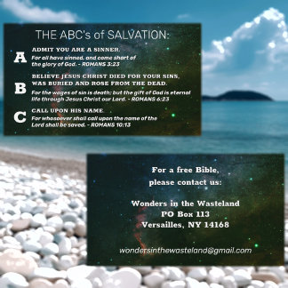 Christian Gospel ABC's Romans Road KJV Bible Business Card