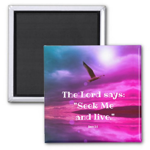 Christian magnet with scriptures Amos