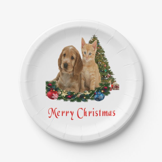 Christian Paper Plates (Front)