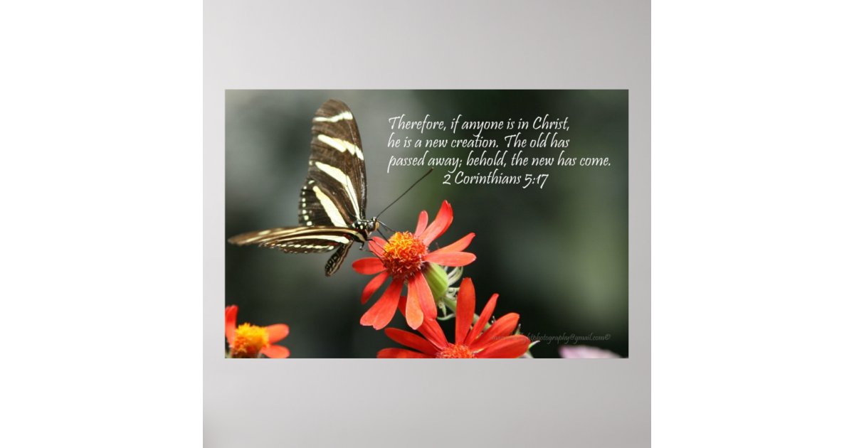 Christian Poster - Butterfly - New Creation | Zazzle