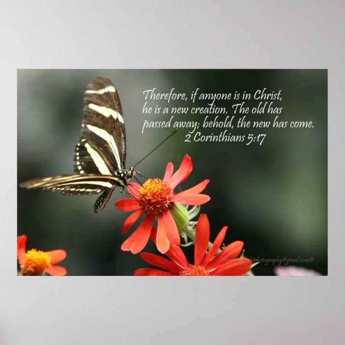 Christian Poster - Butterfly - New Creation | Zazzle.com