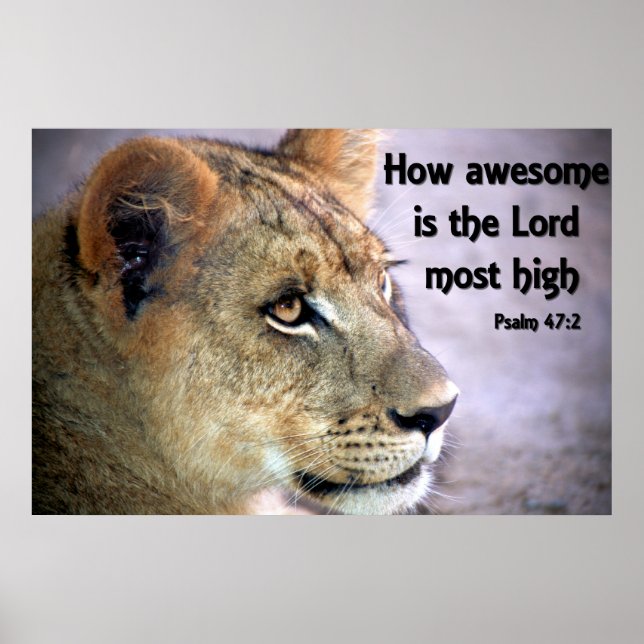 Christian Poster with Mountain Lion and Bible Vers (Front)