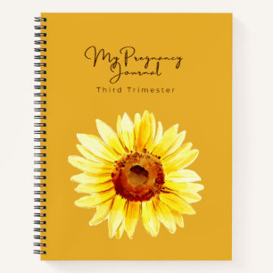 Christian Pregnancy Journal   Third Trimester