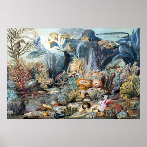 Christian Schussele Ocean Life Poster