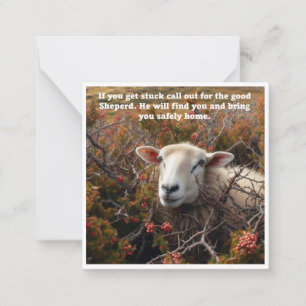 Christian support lamb in briars note card