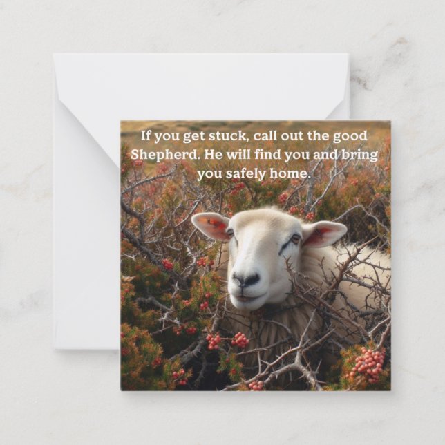 Christian support lamb in briars note card (Front)