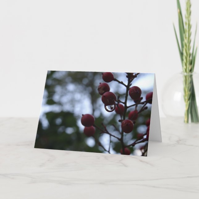 Christian Sympathy Card Psalm Bible Verse (Front)