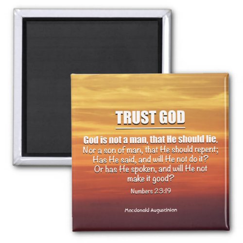 Christian TRUST GOD Numbers 2319  Magnet