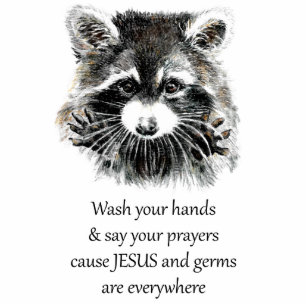 Christian Washroom Wash your Hands Raccoon Animal Cutout