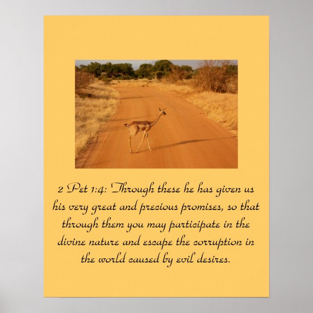 Christianity Scripture 2 Pet 1:4 Poster (Front)