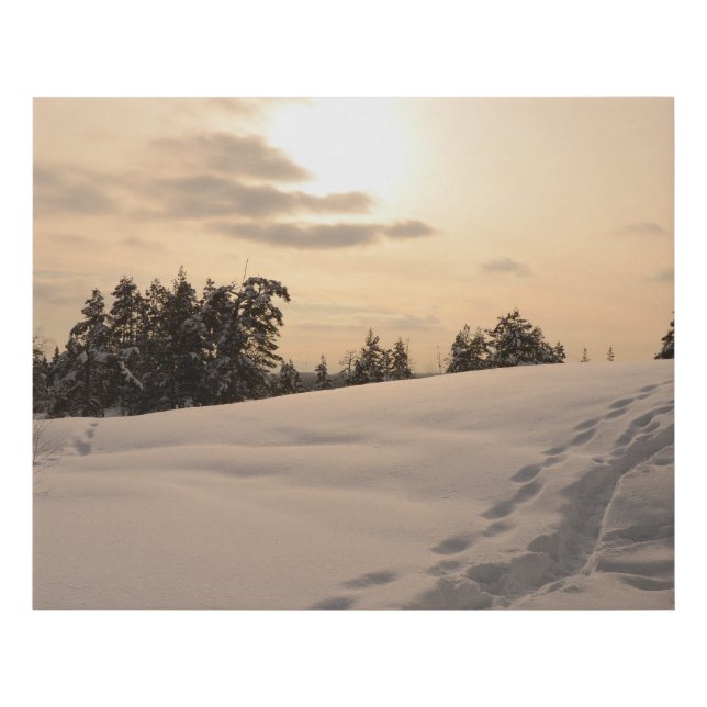 Christman Afternoon Snowy Scene Faux Canvas Print (Front)