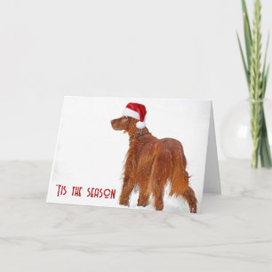 Christmas 2025 Irish Setter In Snow Card