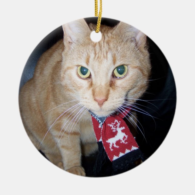 Christmas 2025 Orange Cat Wearing Scarf Ornament (Front)