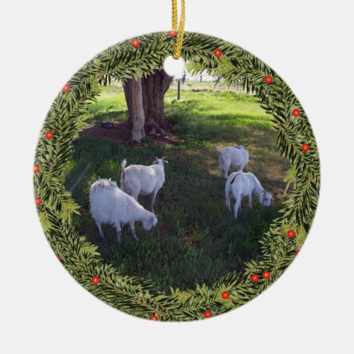 Christmas 4 goats Under a Tree Ceramic Ornament