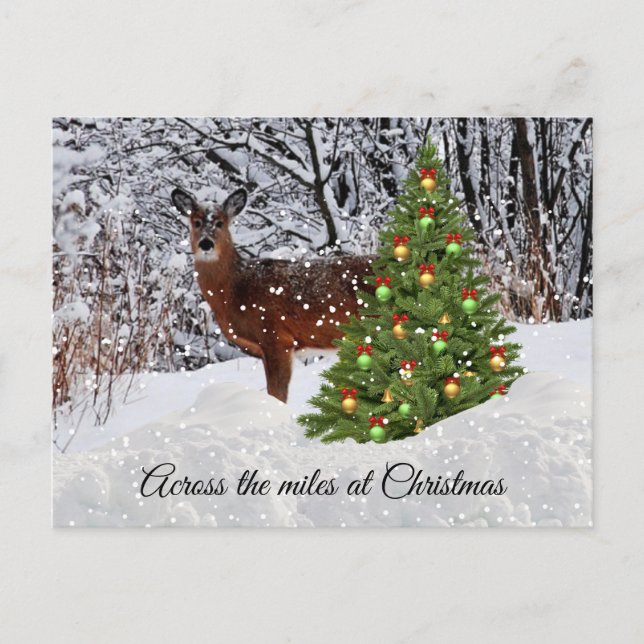 Christmas Across the Miles Deer Snow Postcard (Front)