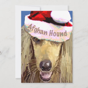 Christmas Afghan Hound 10 pk crds Holiday Card