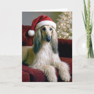 Christmas Afghan Hound On a Velvet Couch Card