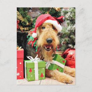 Christmas - Airedale - Kiehn Holiday Postcard