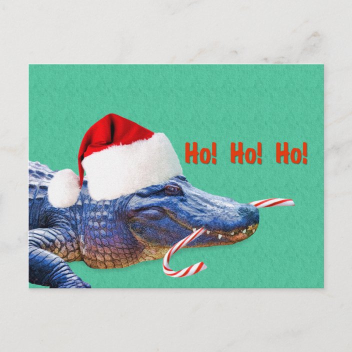 Christmas, Alligator with Santa Hat Holiday Postcard | Zazzle.com