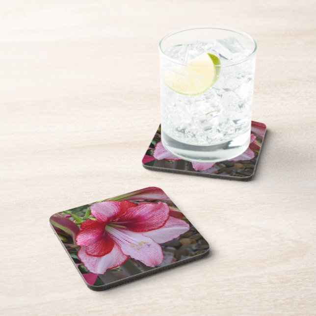 Christmas Amaryllis Red Holiday Floral Beverage Coaster (Right Side)