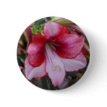 Christmas Amaryllis Red Holiday Floral Button