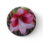Christmas Amaryllis Red Holiday Floral Button