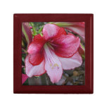 Christmas Amaryllis Red Holiday Floral Jewelry Box
