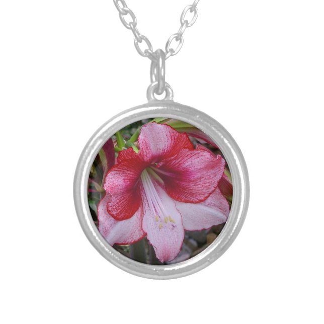 Christmas Amaryllis Red Holiday Floral Silver Plated Necklace (Front)
